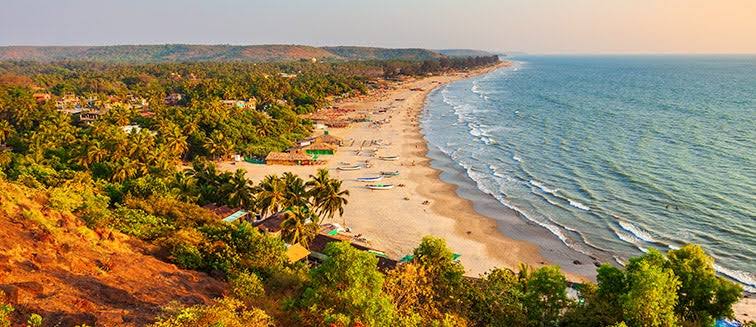 GOA 